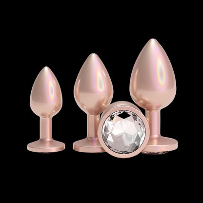 Rear Assets Trainer Kit - Iridescent Champagne Set of 3 Sizes